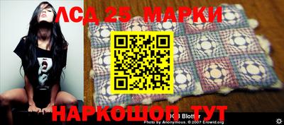индика Славгород