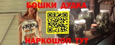индика Славгород