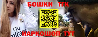 индика Славгород