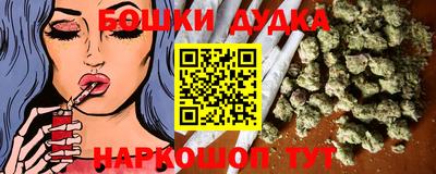 индика Славгород