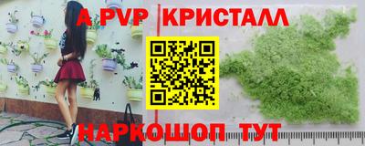 индика Славгород