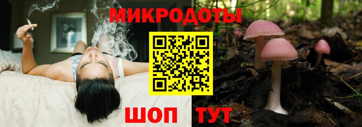 Галлюциногенные грибы Psilocybine cubensis Муравленко